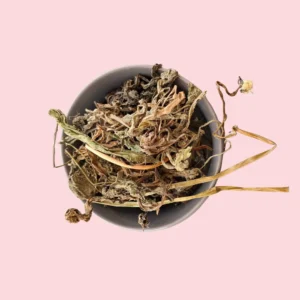 Feuille de pissenlit