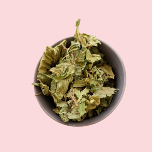 Feuille de noisetier